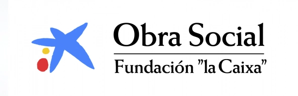 Obra social, Fundació La Caixa